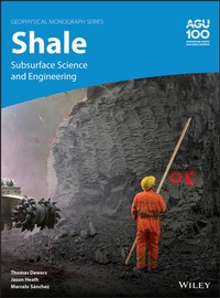 Enlarge image Cover: Shale - Wiley