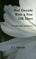 Cover: Bad Decade with a Few Ok Days - Lulu.com