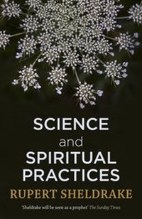 Enlarge image Cover: Science and Spiritual Practices - Yellow Kite