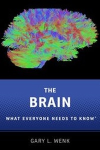 Abbildung von: The Brain - OUP eBook
