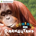 Cover: Curious About Orangutans - Jove Publications