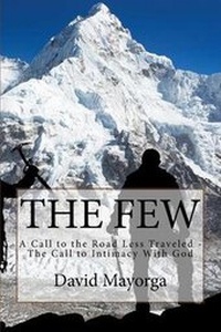 Enlarge image Cover: The Few - David Mayorga