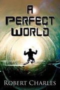 Cover: A Perfect World - AMERICA STAR BOOKS