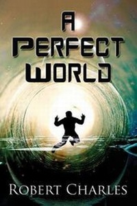 Enlarge image Cover: A Perfect World - AMERICA STAR BOOKS