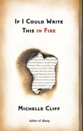 Cover: If I Could Write This in Fire - University of Minnesota Press