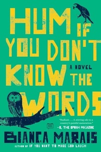 Abbildung von: Hum If You Don't Know the Words - G.P. Putnam's Sons