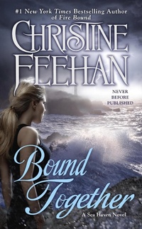 Enlarge image Cover: Bound Together - Berkley