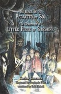 Cover: In Search of a Little Piece of Sunshine - Mascot Books