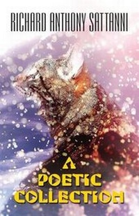 Enlarge image Cover: A Poetic Collection - AMERICA STAR BOOKS