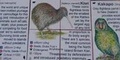 Cover: New Zealand Wildlife Cube Book - ZooBooKoo International Ltd