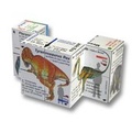 Cover: Dinosaurs Cube Book (USA) - ZooBooKoo International Ltd