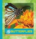 Cover: Butterflies - Walter Foster Jr. -- Quarto Library