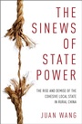 Cover: The Sinews of State Power - OUP eBook