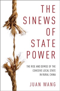 Enlarge image Cover: The Sinews of State Power - OUP eBook