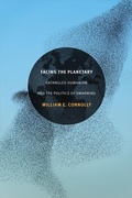 Cover: Facing the Planetary - De Gruyter