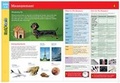 Cover: Measurement FlashCharts - Barnes & Noble Books