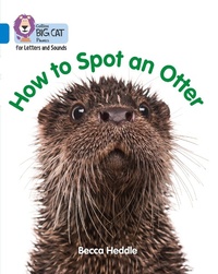 Enlarge image Cover: How to Spot an Otter - Collins
