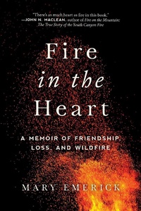 Enlarge image Cover: Fire in the Heart - Arcade Publishing