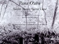 Cover: Pana O'ahu - University of Hawai'i Press