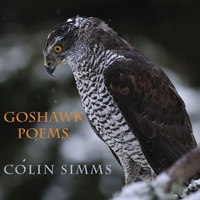 Enlarge image Cover: Goshawk Poems - Shearsman Books