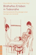 Cover: Bildhaftes Erleben in Todesn&auml;he - Theologischer Verlag Z&uuml;rich
