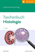 Bild: Taschenbuch Histologie - Urban & Fischer