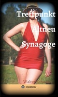 Cover: Treffpunkt Altneu Synagoge - tredition