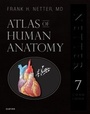 Bild: Atlas of Human Anatomy, Professional Edition - Elsevier