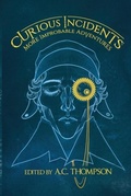 Cover: Curious Incidents - Mocha Memoirs Press
