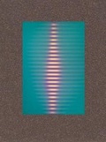 Cover: Roy Colmer - Lisson Gallery