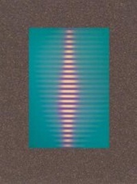 Enlarge image Cover: Roy Colmer - Lisson Gallery