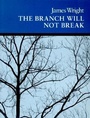 Cover: The Branch Will Not Break - Wesleyan University Press