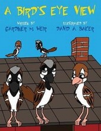Enlarge image Cover: A Bird's Eye View - AMERICA STAR BOOKS
