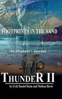 Enlarge image Cover: Thunder II - World Castle Publishing