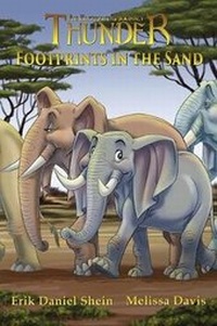 Enlarge image Cover: Footprints in the Sand - World Castle Publishing