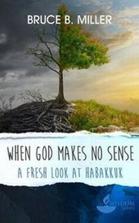 Enlarge image Cover: When God Makes No Sense - Dadlin