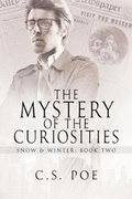 Cover: The Mystery of the Curiosities - DSP Publications LLC