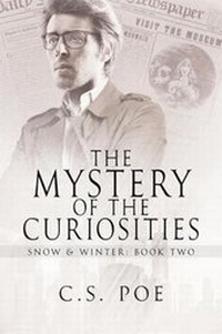 Enlarge image Cover: The Mystery of the Curiosities - DSP Publications LLC