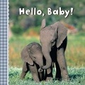 Cover: Hello, Baby! - Sterling