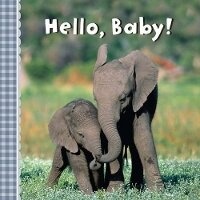 Enlarge image Cover: Hello, Baby! - Sterling