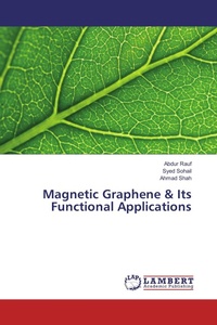 Enlarge image Cover: Magnetic Graphene & Its Functional Applications - LAP Lambert Academic Publishing
