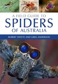 Cover: Field Guide to Spiders of Australia - CSIRO PUBLISHING