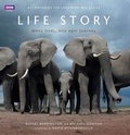 Cover: Life Story - BBC Digital