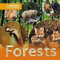 Enlarge image Cover: Forests - BookLife Publishing