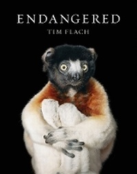 Enlarge image Cover: Endangered - Abrams