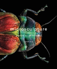 Abbildung von: Microsculpture - Abrams