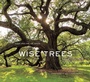 Cover: Wise Trees - Abrams