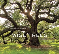 Enlarge image Cover: Wise Trees - Abrams