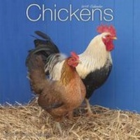 Abbildung von: Chickens Calendar 2018 - Avonside Publishing Ltd