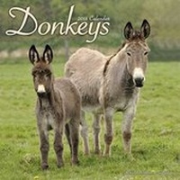 Abbildung von: Donkeys Calendar 2018 - Avonside Publishing Ltd